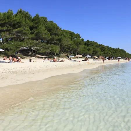 Blanca By Uephotels Hotel Can Picafort (Mallorca)